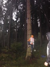 Adventure Trophy 296